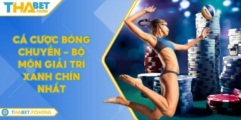ca cuoc bong chuyen