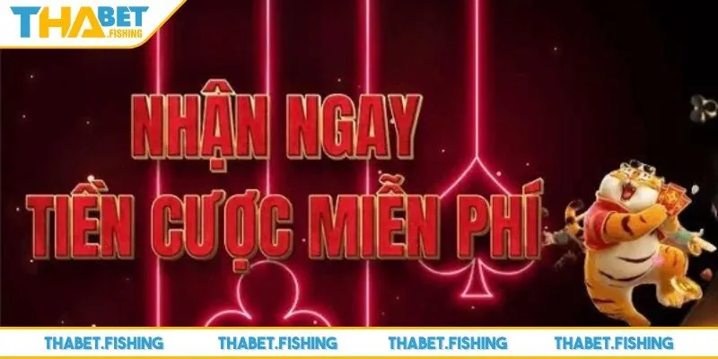 Anh em phải tuân thủ theo hướng dẫn từ nhân viên nhà cái